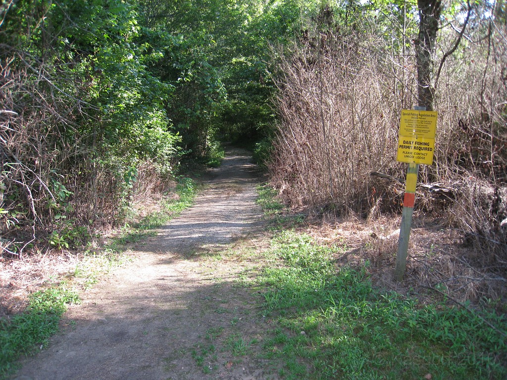 Helen to Unicoi 2010 0360.jpg - The trail from Helen Georgia to the lodge at Unicoi State Park makes a fun six mile run. July 2010 and 90 degrees makes it a little bit more of a workout.